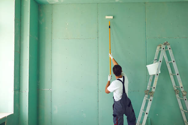 Best Mold Removal for HVAC Installations  in Madison, OH