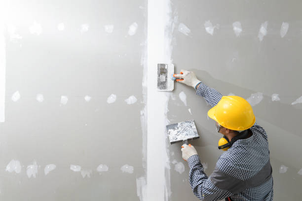 Best Mold-Related Health Consultation  in Madison, OH