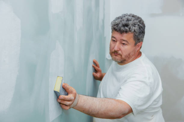 Best Black Mold Removal  in Madison, OH