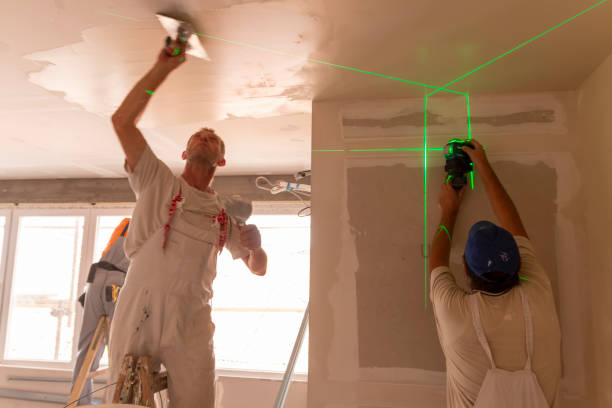 Best Forensic Mold Investigation  in Madison, OH