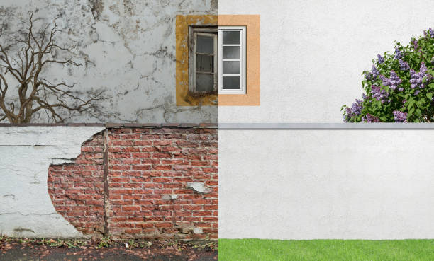 Best Commercial Mold Inspection  in Madison, OH