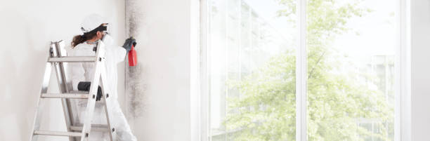 Madison, OH Mold Removal Company